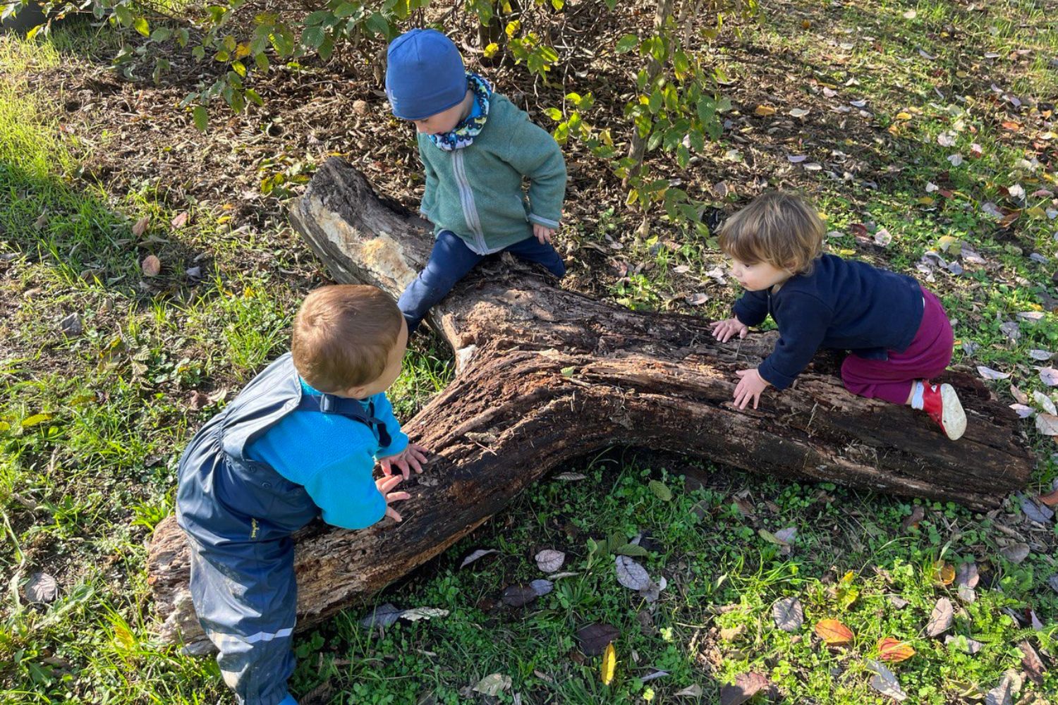 A piccoli passi